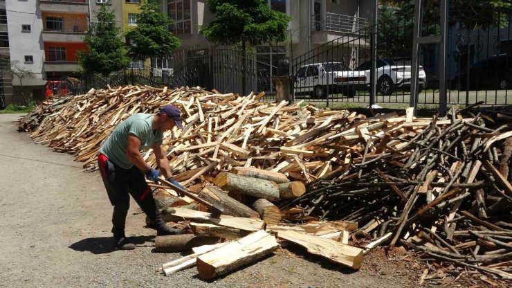 Odun kırma performansıyla şaşırtıyor
