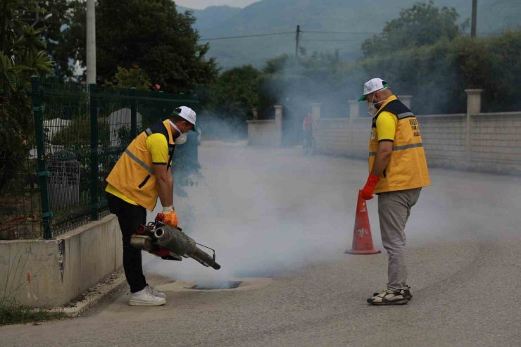 Akyazı’da ilaçlama çalışmaları aralıksız devam ediyor