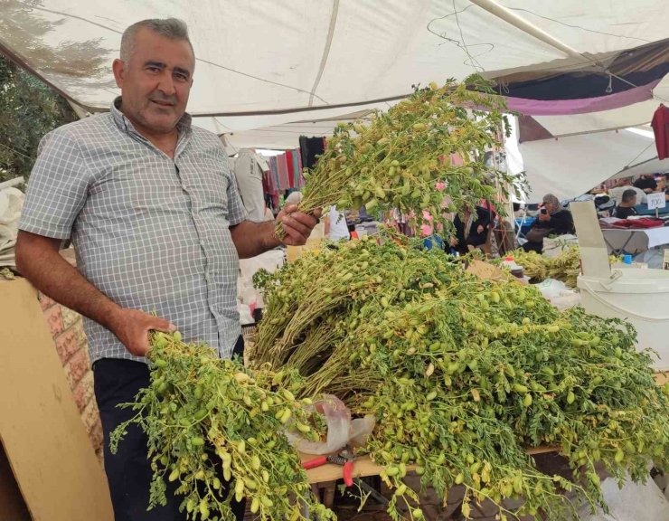 Yeşil nohut tezgahlarda yerini aldı