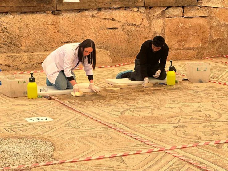 ‘Cennet Bahçesi’ mozaiğinde restorasyon ve konservasyon başladı