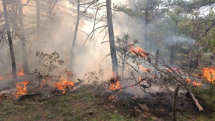 Bolu’da ormanlık alana düşen yıldırım yangına neden oldu
