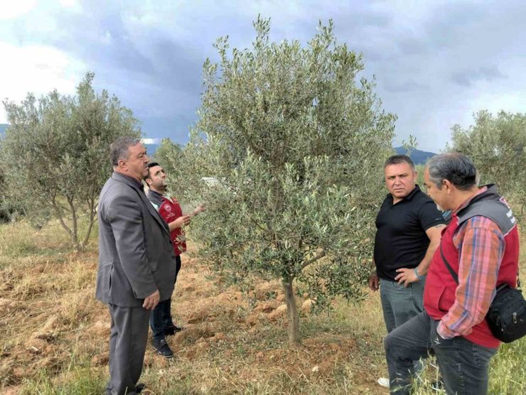 Dolunun vurduğu Esençay’da hasar tespiti yapıldı
