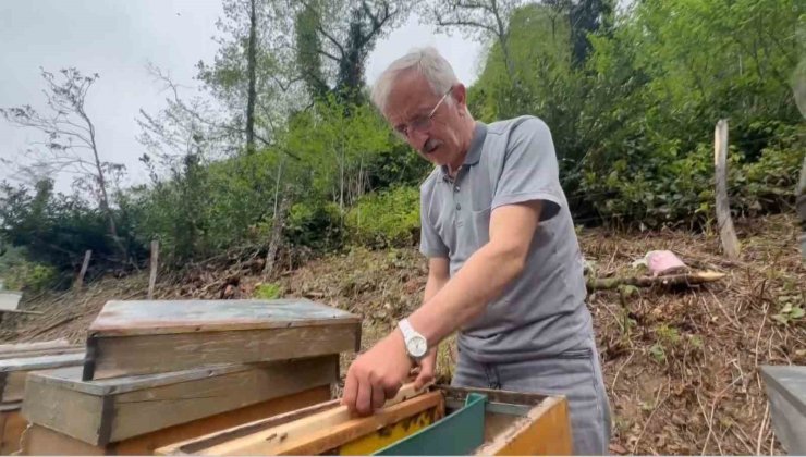 Bu balın azı şifa, fazlası tehlike