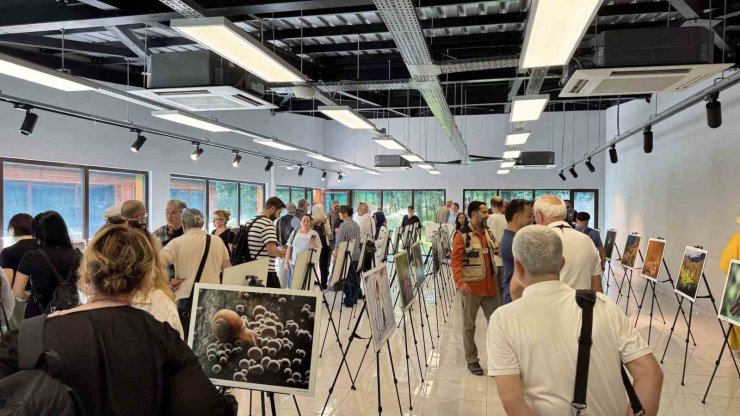 "Türkiye’nin Doğası" Ormanya’da hayat buldu