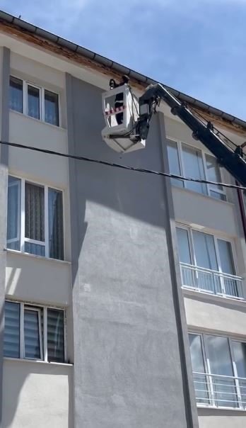 İpe takılarak mahsur kalan kuş, itfaiye ekiplerince kurtarıldı