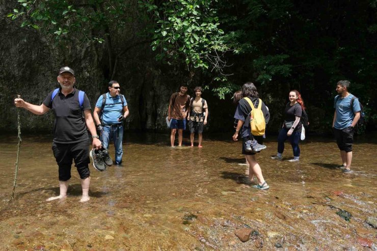 Türkiye’nin yeşil cenneti içinde büyüleyici bir yolculuk