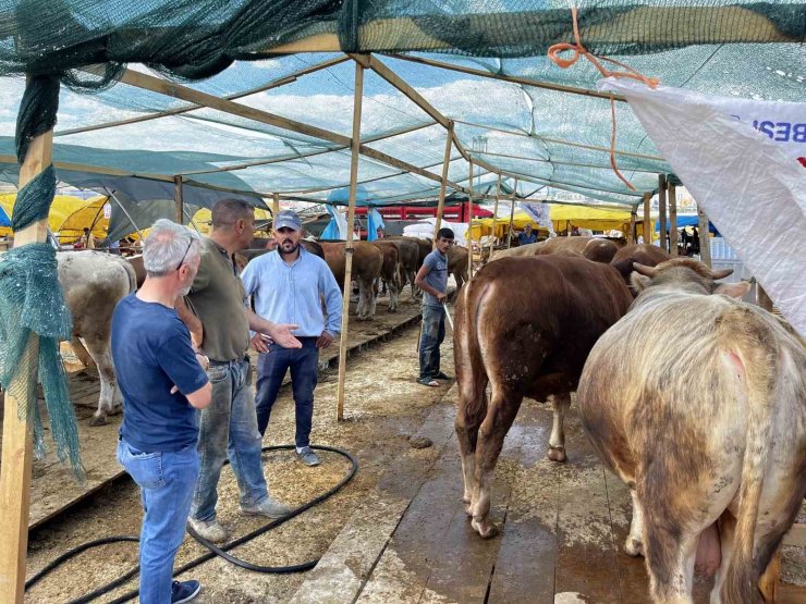 Sincan’da Kurban Bayramı hazırlıkları tamam