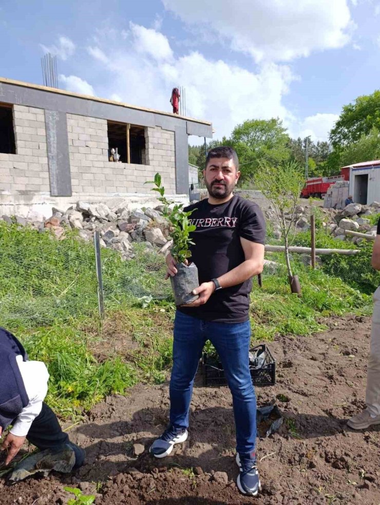 Ardahan’da bir ilk; Çay kökleri toprakla buluştu