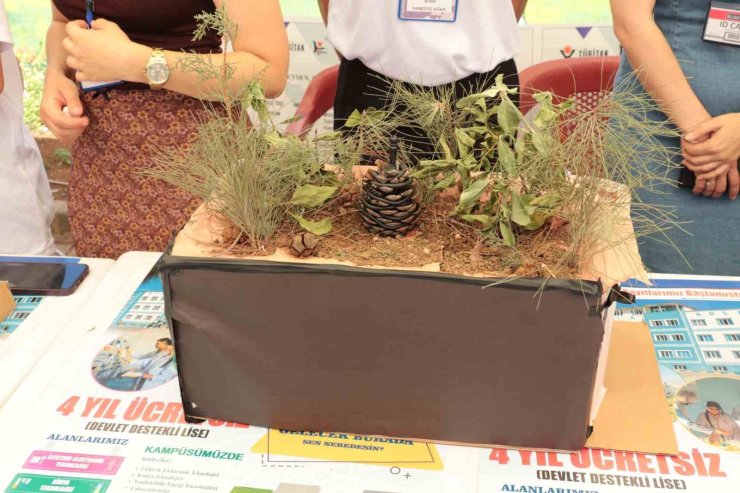 Şırnaklı öğrencilerden "Yakan Değil Söndüren Kozalak Projesi"