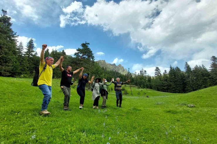 Gümüşhane yaylalarında çiçek şöleni