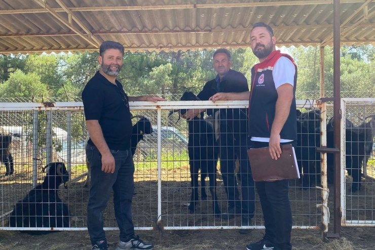 Karacasu’da kurban satış yerleri denetlendi