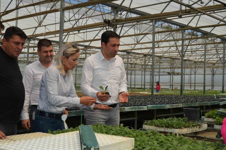 Bilecik’te "Enginar Fide" projesi