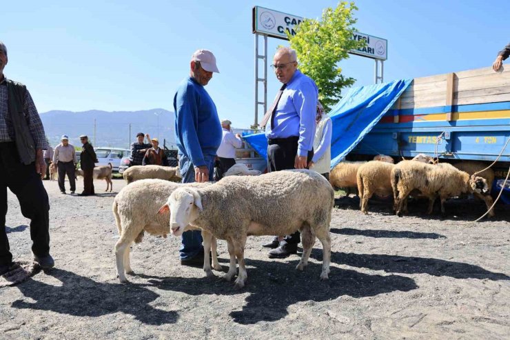 Başkan Arslan; "Üreticilerimizin emeğiyle, hemşehrilerimiz güvenle kurbanlıklarını temin ediyor"