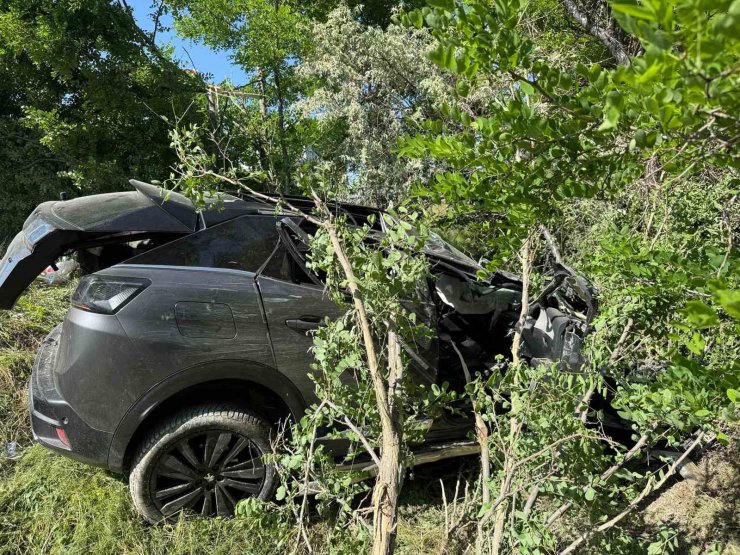Kontrolden çıkarak ağaçlık alana giren otomobilde 3 kişi yaralandı