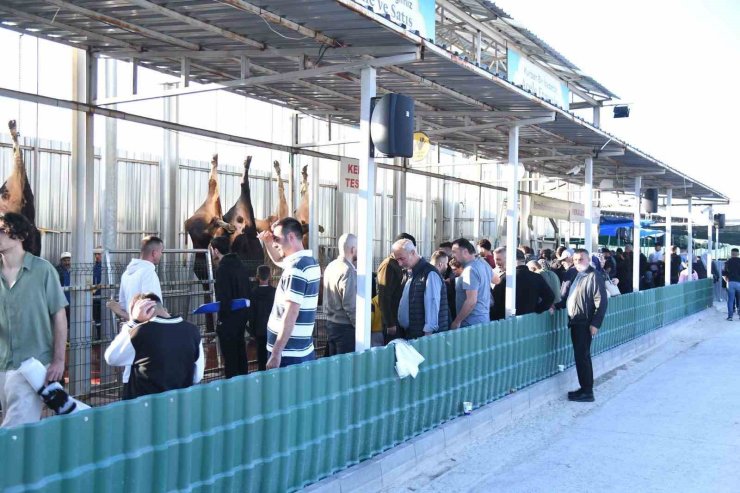 -Pursaklar Belediyesi’nden çevrim içi kurban kesimi