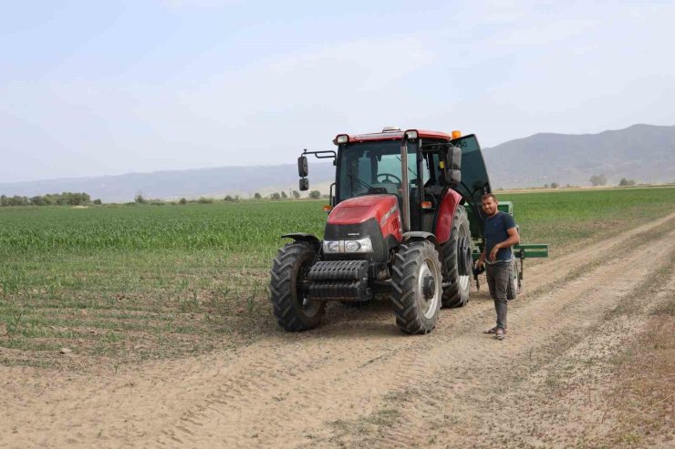 Pamuk üretim merkezi Büyük Menderes Ovası’nda kuraklık nedeniyle üretici mısıra yöneldi