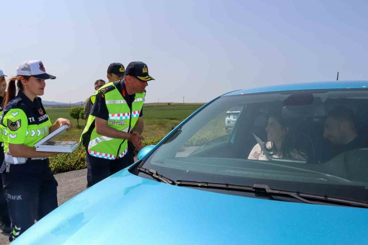 İl Jandarma Komutanlığı Dedebağı, yol denetimlerine katıldı