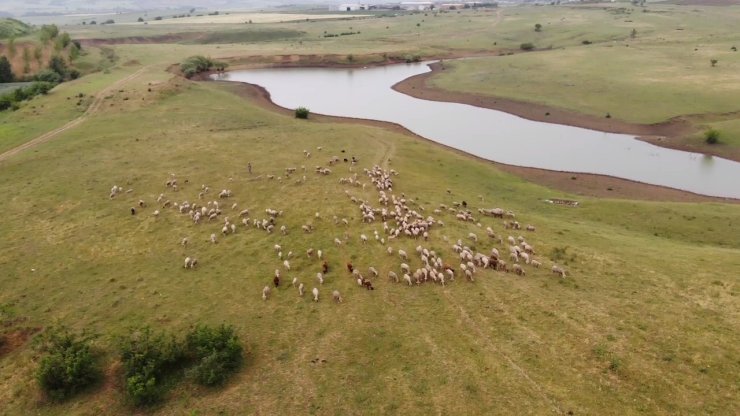 Meraların madene açılmak istenmesi köylüleri ayağa kaldırdı