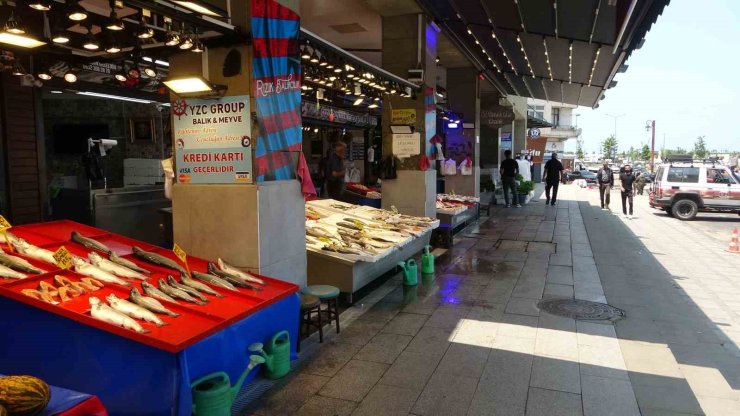 Balık hali sessizliğe büründü