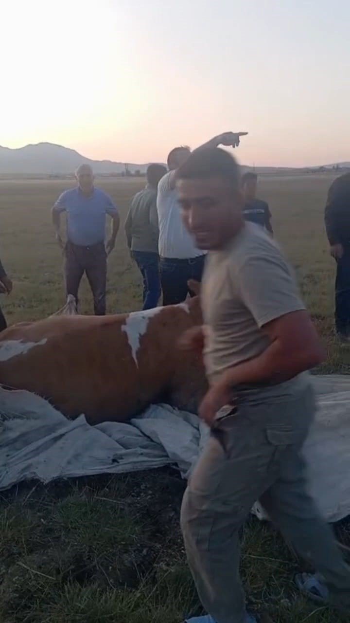 Arin Gölü’nde çamura saplanan inek kurtarıldı