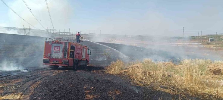 Siirt’te çıkan yangında ekili alanlar zarar gördü