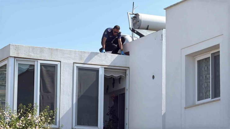 Anahtarını unutunca çatıdan eve girmeye çalışırken düşen emekli polis hayatını kaybetti