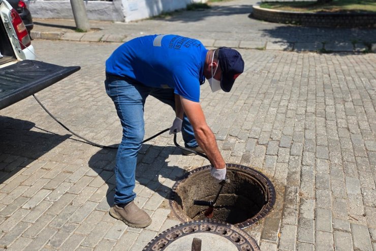 Şehri haşereler bastı, Efeler Belediyesi mücadele başlattı