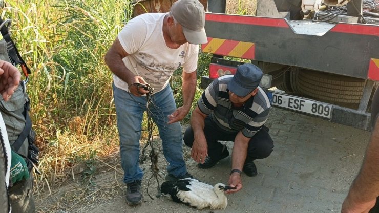 Ayağına ip dolanan leyleği vatandaşların dikkati kurtardı