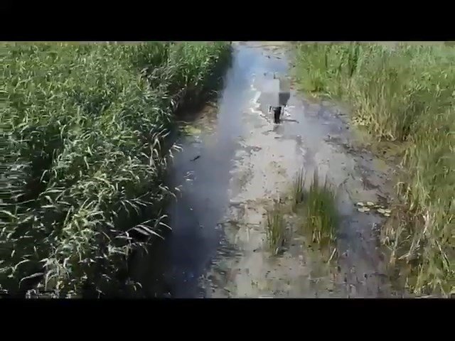 Sülük toplamak için gitti kayboldu