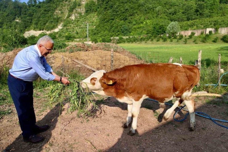 Ordu’da besicilerin yüzünü güldürüp, verimi arttıran destek