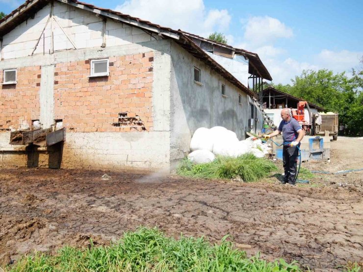 Düzce’de görülmeye başladı