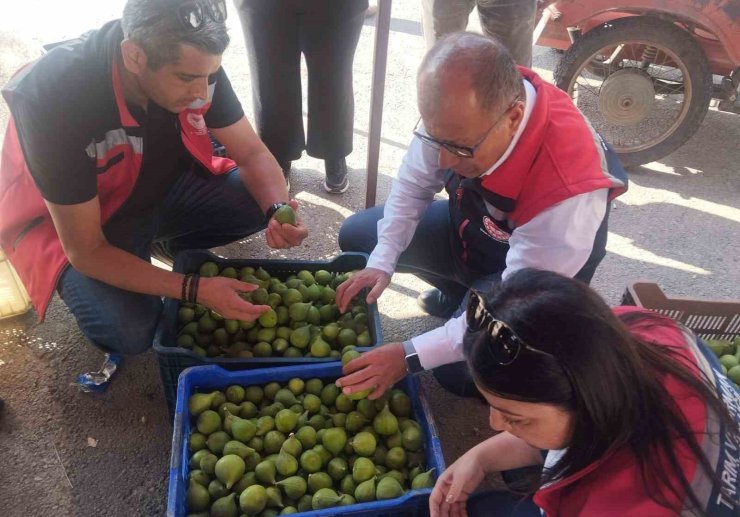 Germencik’te ilek tezgahları denetlendi