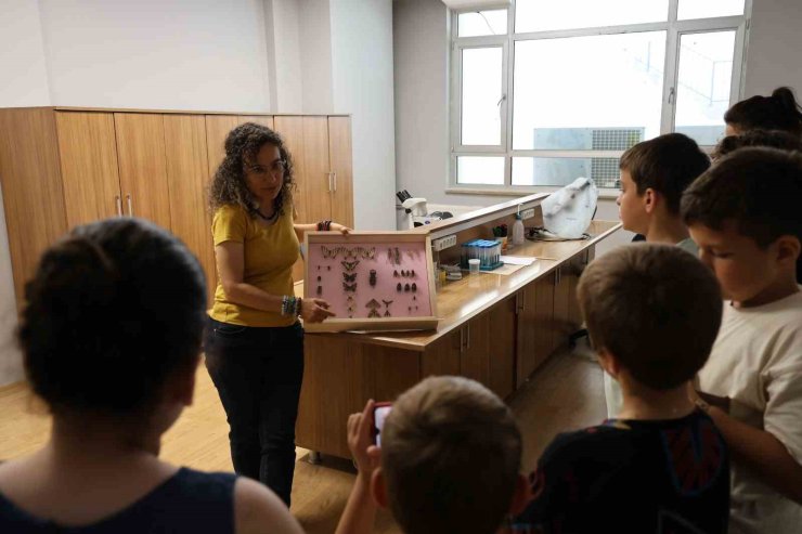 Büyük bir ilgiyle böceklerin dünyasını tanıdılar