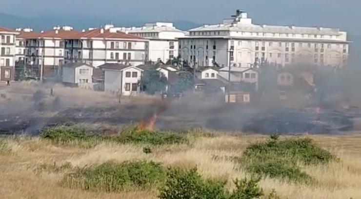 Elektrik tellerine kuş çarpınca yangın çıktı