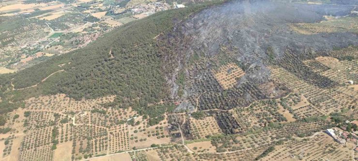 Foça’da ormanlık alanda çıkan yangın kontrol altında