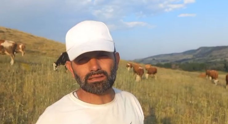 Yozgat’ta keneler görülmeye devam ediyor