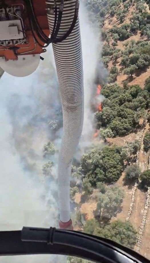 Söke’deki yangına havadan müdahale yapılıyor