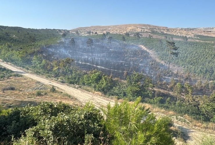 Soma’daki orman yangınları kontrol altına alındı