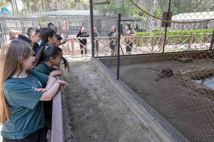 Mersin’deki ‘Minikbüs Projesi’ çocuklara gezi ve öğrenme yolculuğu sunuyor