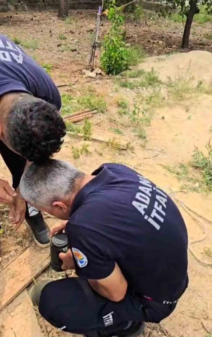 Su borusuna düşen yavru kedi kurtarıldı