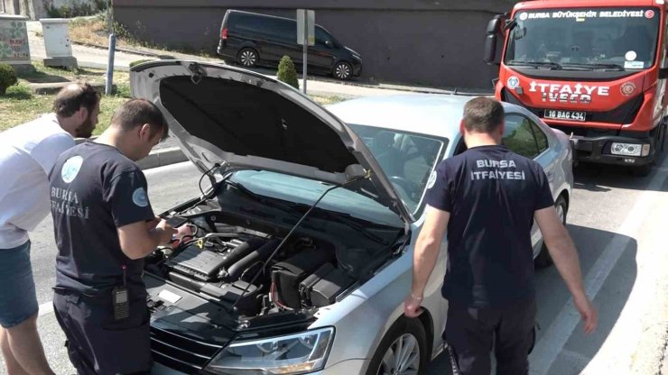 Yavru kedi, trafiği kilitledi