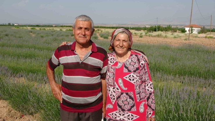 İnternetten gördüler, lavanta üreticisi oldular