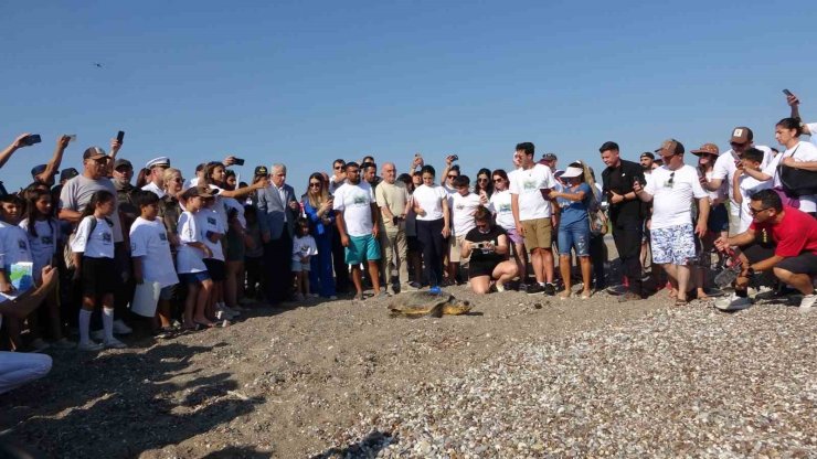 Antalya’da deniz kaplumbağaları çip takılarak denize uğurlandı