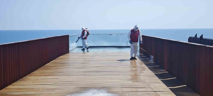 Arnavutköy’de park ve bahçeler belediye ekiplerince ilaçlanıyor