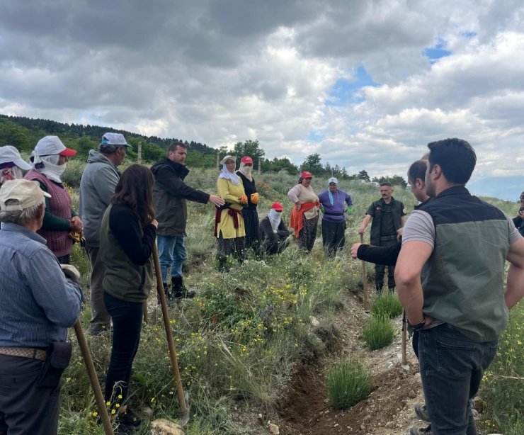 Erzincan’da yeşil vatana kadın eli değiyor