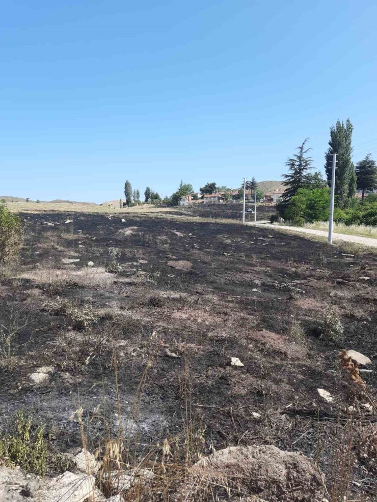 Torpilden çıkan yangında 15 dönümlük arazi kül oldu