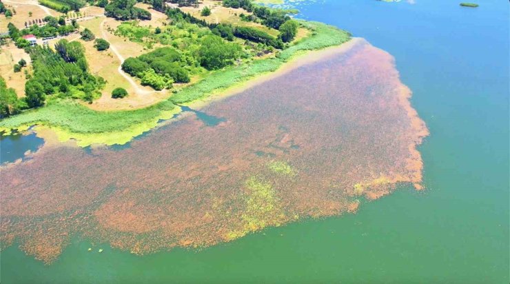 Baharın renklerine bürünen Terkos Gölü mest etti