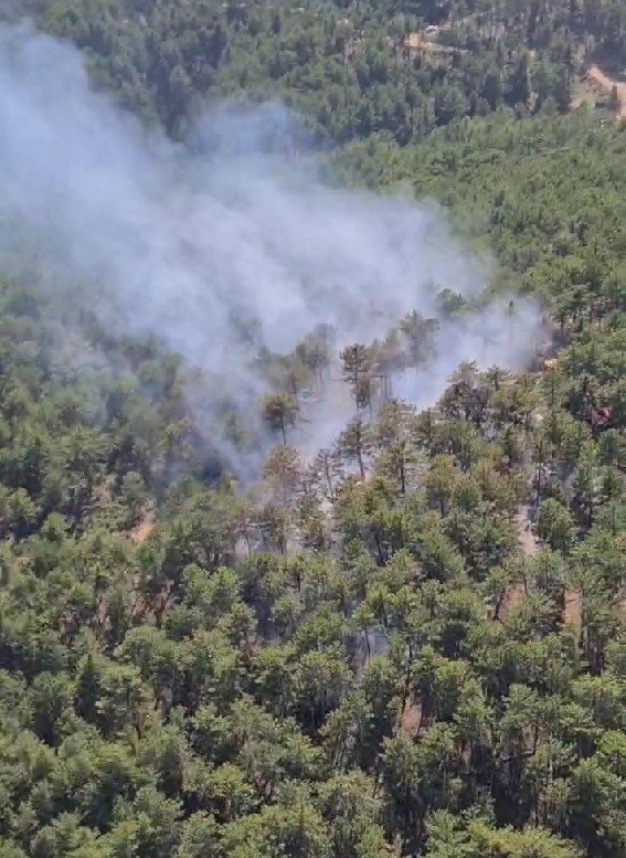 Çivril’deki orman yangınında 2 hektar alan zarar gördü