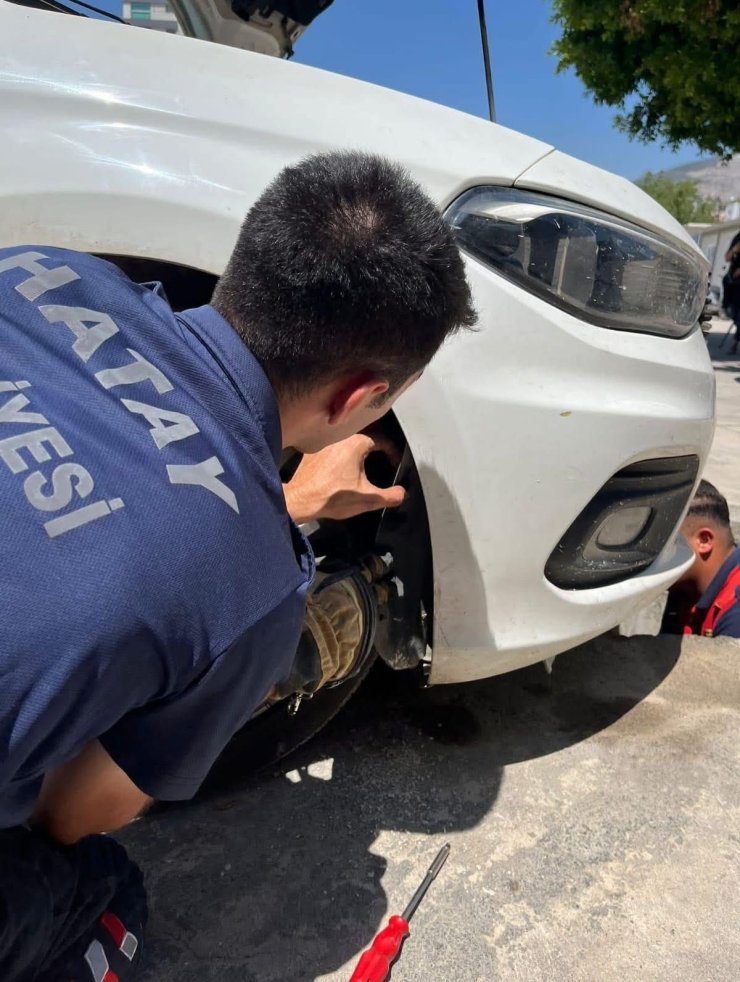 İskenderun’da aracın kaputuna giren kediyi itfaiye kurtardı
