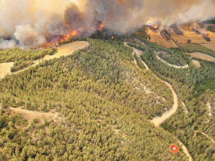 Adana’daki orman yangınına 12 helikopter ve 2 uçakla havadan müdahale